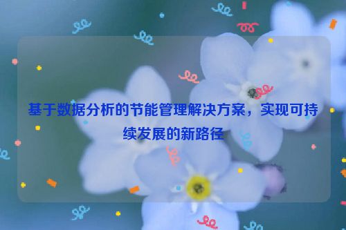 基于数据分析的节能管理解决方案，实现可持续发展的新路径