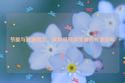 节能与能源独立，实现可持续发展的双重目标