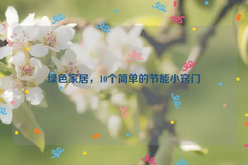 绿色家居，10个简单的节能小窍门