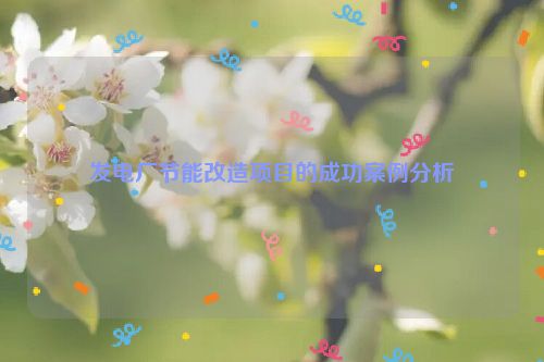 发电厂节能改造项目的成功案例分析