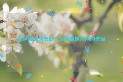 家庭清洁与节能，环保清洁产品的选择