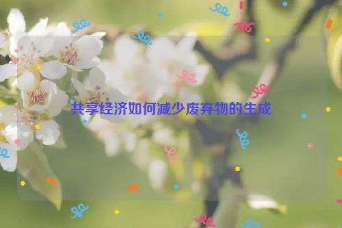 共享经济如何减少废弃物的生成