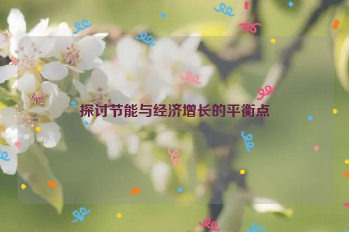 探讨节能与经济增长的平衡点